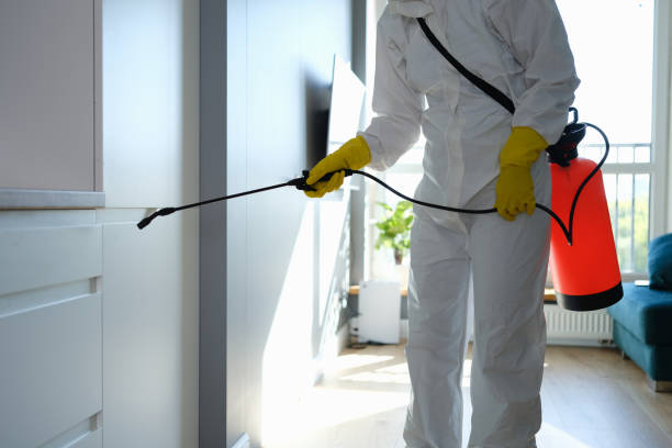 Best Mold Removal and Inspection  in Calverton, NY