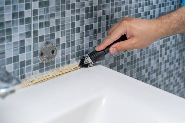 Best Black Mold Removal  in Calverton, NY